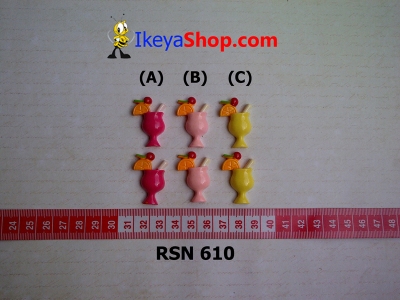 rsn 610  large2